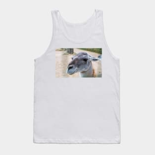 Portrait of the Guanaco Tank Top